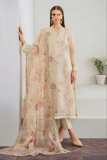 Baroque Fancy Embroidered Organza Chicken Kari