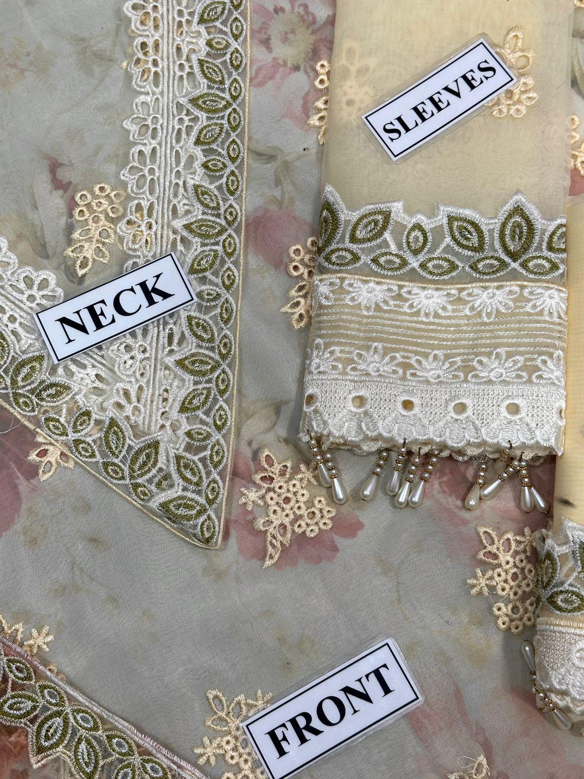 Baroque Fancy Embroidered Organza Chicken Kari