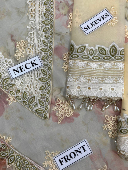 Baroque Fancy Embroidered Organza Chicken Kari