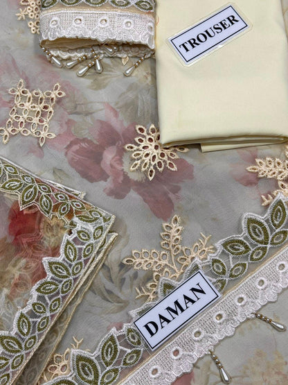 Baroque Fancy Embroidered Organza Chicken Kari